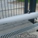 DSCF7121